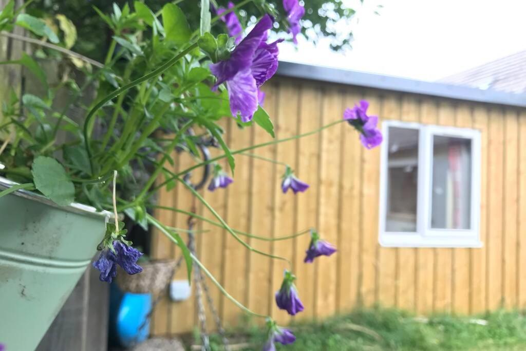 An Cabar Appartement Aviemore Buitenkant foto